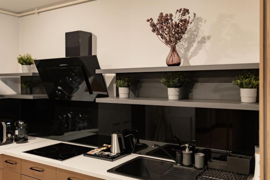 Nest Inn Magic Apartment クルージュ＝ナポカ エクステリア 写真